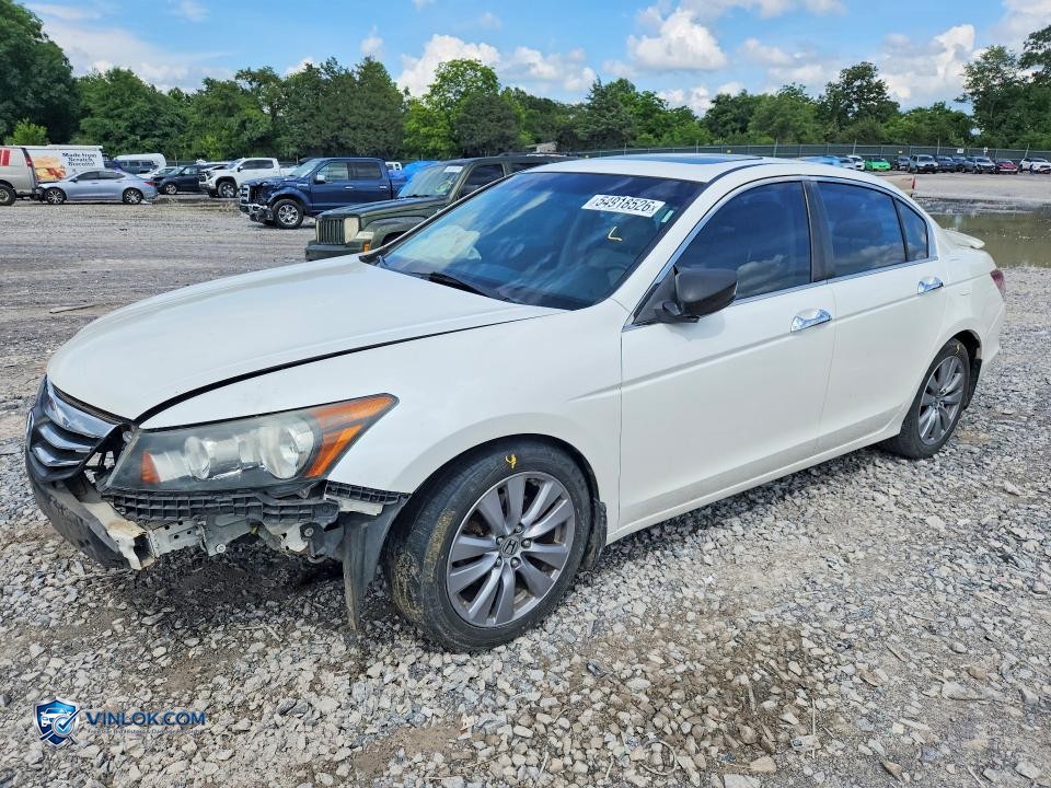 2011 HONDA ACCORD EXL – Lot 54918526 auction photo