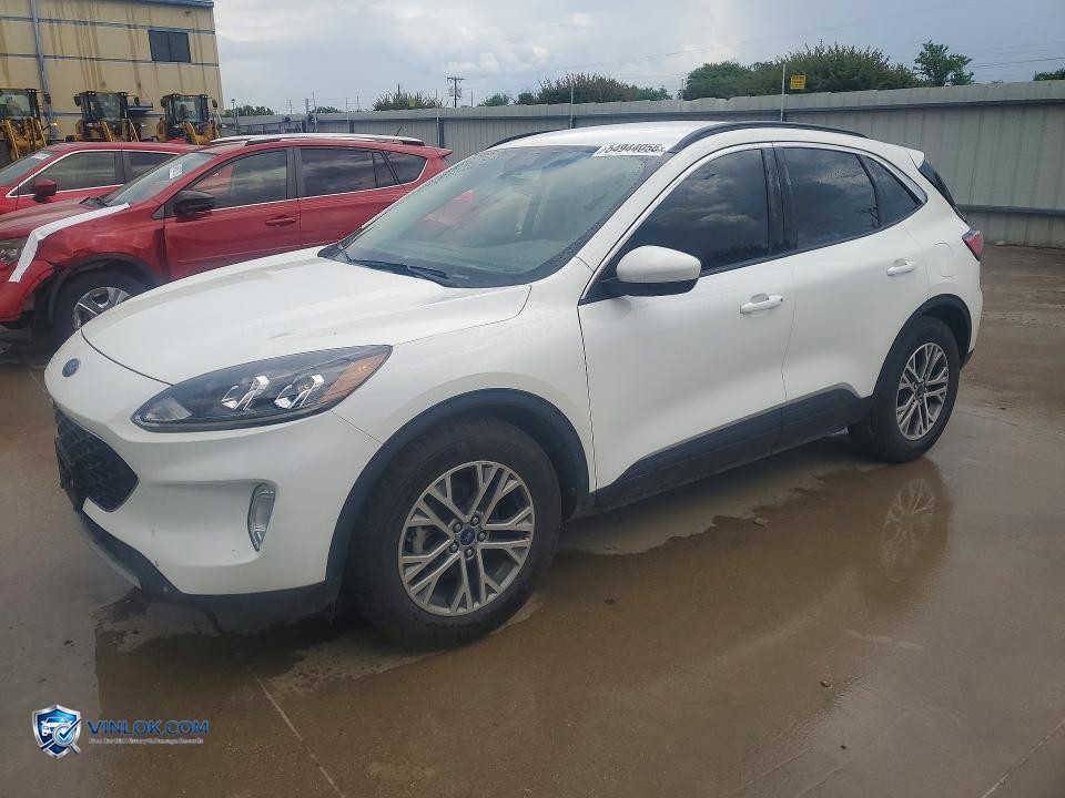 2022 FORD ESCAPE SEL – Lot 54944056 auction photo