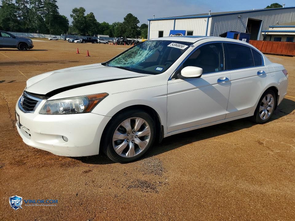 2010 HONDA ACCORD EXL – Lot 54968656 auction photo