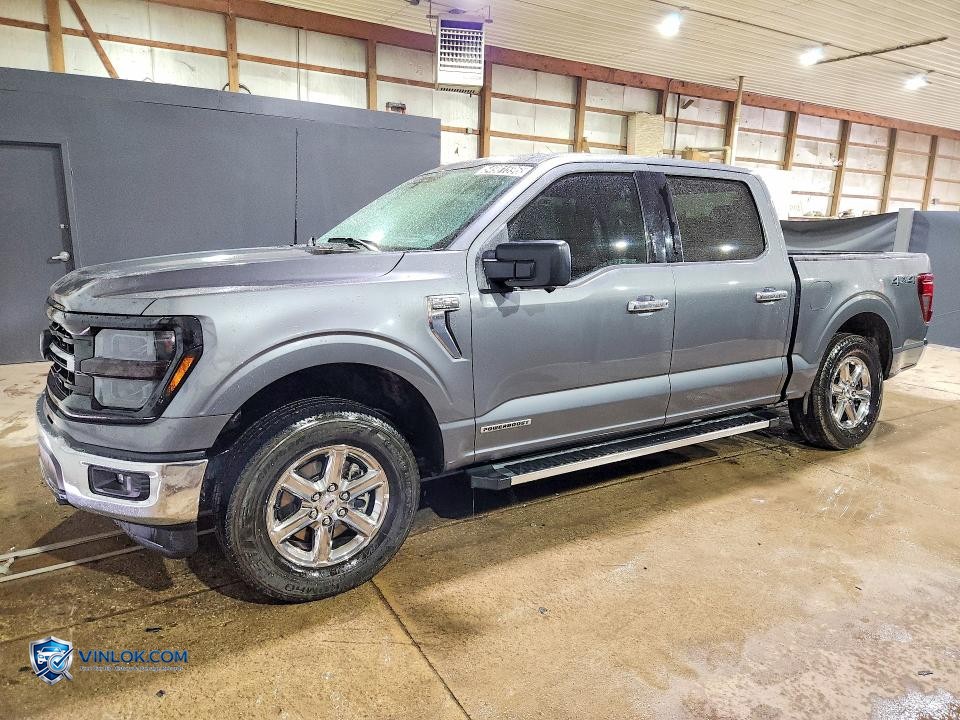 2024 FORD F-150 – Lot 54981596 auction photo