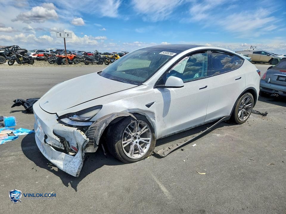 2023 TESLA MODEL Y – Lot 54985296 auction photo