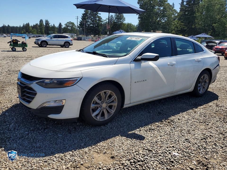 2023 CHEVROLET MALIBU LT – Lot 55011606 auction photo