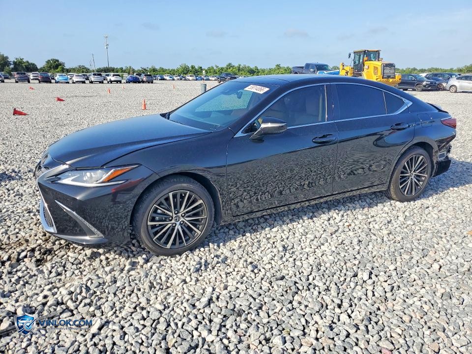 2025 LEXUS ES 350 BASE – Lot 55014066 auction photo