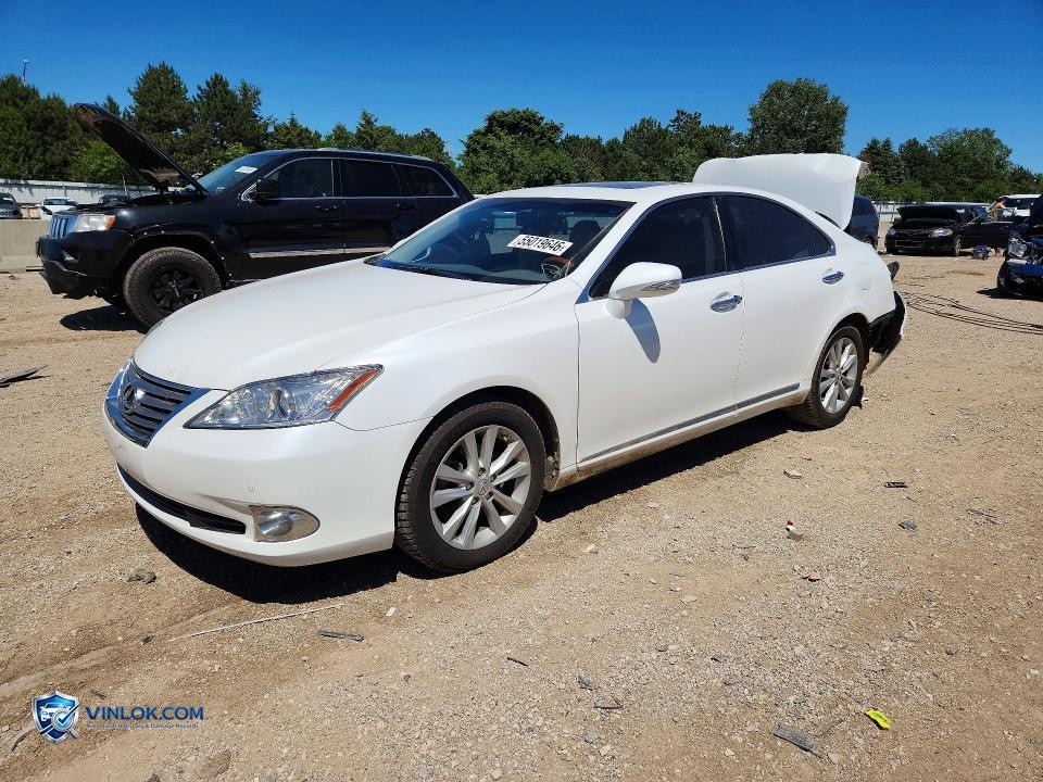 2011 LEXUS ES 350 – Lot 55019646 auction photo