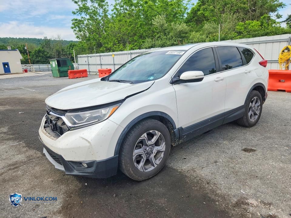2019 HONDA CR-V EX – Lot 55037196 auction photo