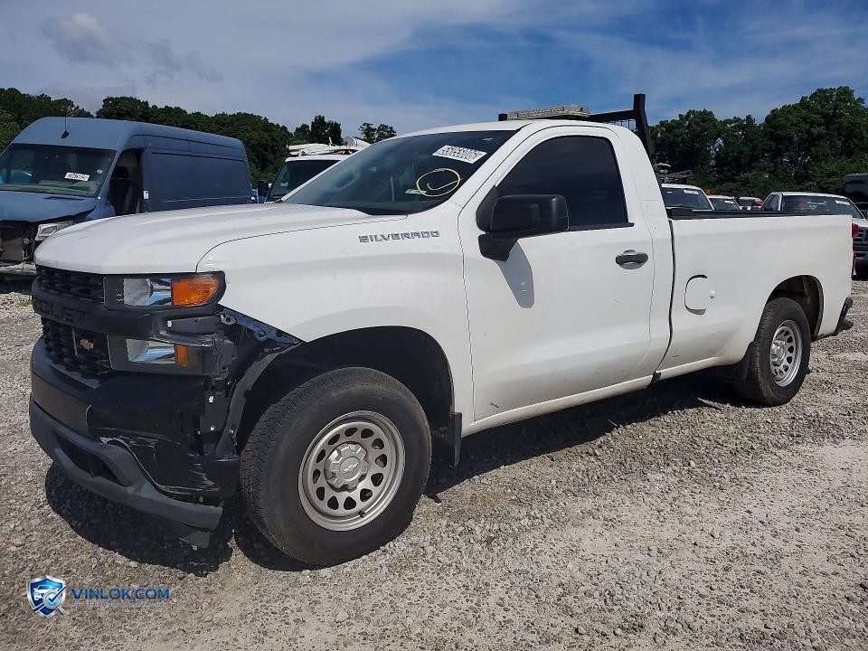 2019 CHEVROLET SILVERADO C1500 – Lot 55055006 auction photo