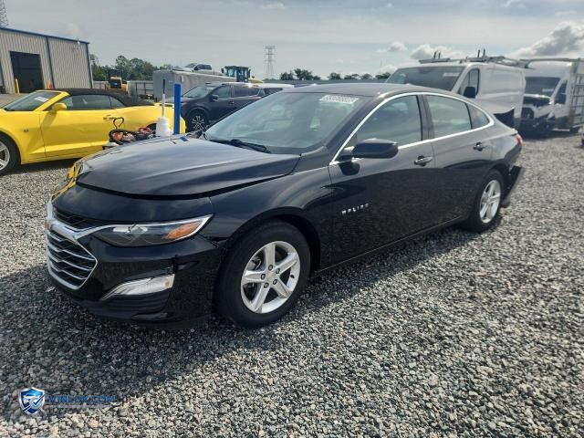 2024 CHEVROLET MALIBU LS – Lot 55065596 auction photo