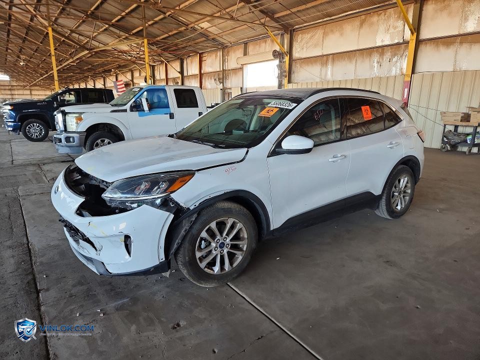 2020 FORD ESCAPE SE – Lot 55068326 auction photo