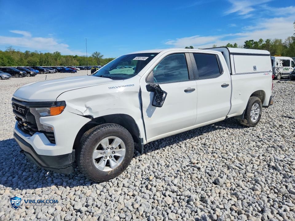 2023 CHEVY SILVERADO 1500 *** PRI FLEET *** – Lot 55084696 auction photo