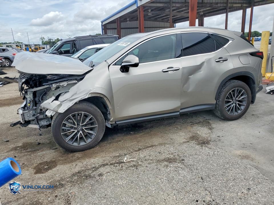 2025 LEXUS NX 250 PREMIUM – Lot 55092196 auction photo