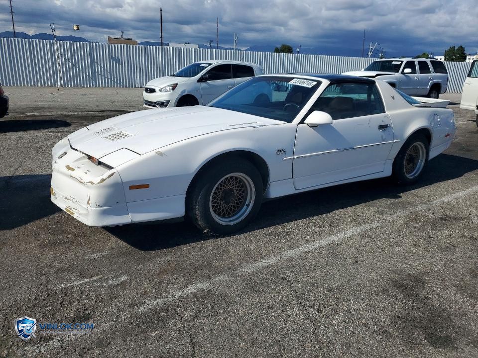 1989 PONTIAC FIREBIRD TRANS AM – Lot 55106746 auction photo