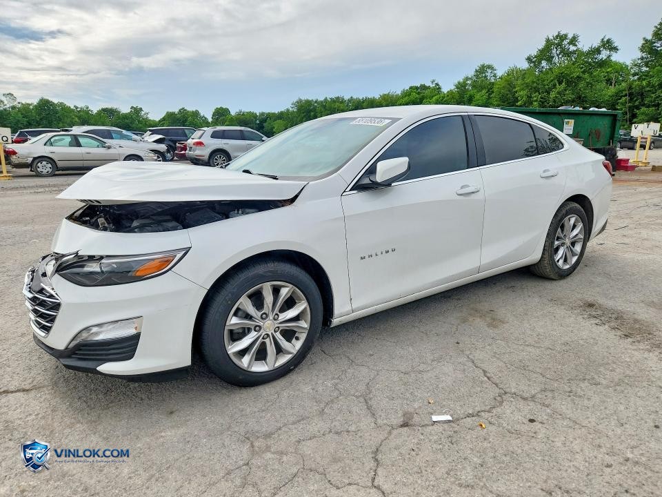 2019 CHEVROLET MALIBU LT – Lot 55109536 auction photo