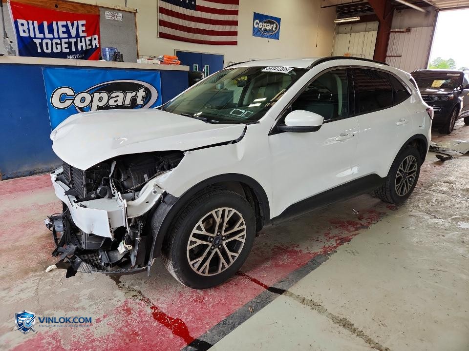 2020 FORD ESCAPE SEL – Lot 55141326 auction photo