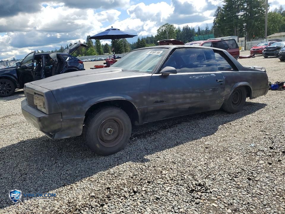 1979 CHEVROLET MALIBU – Lot 55166196 auction photo