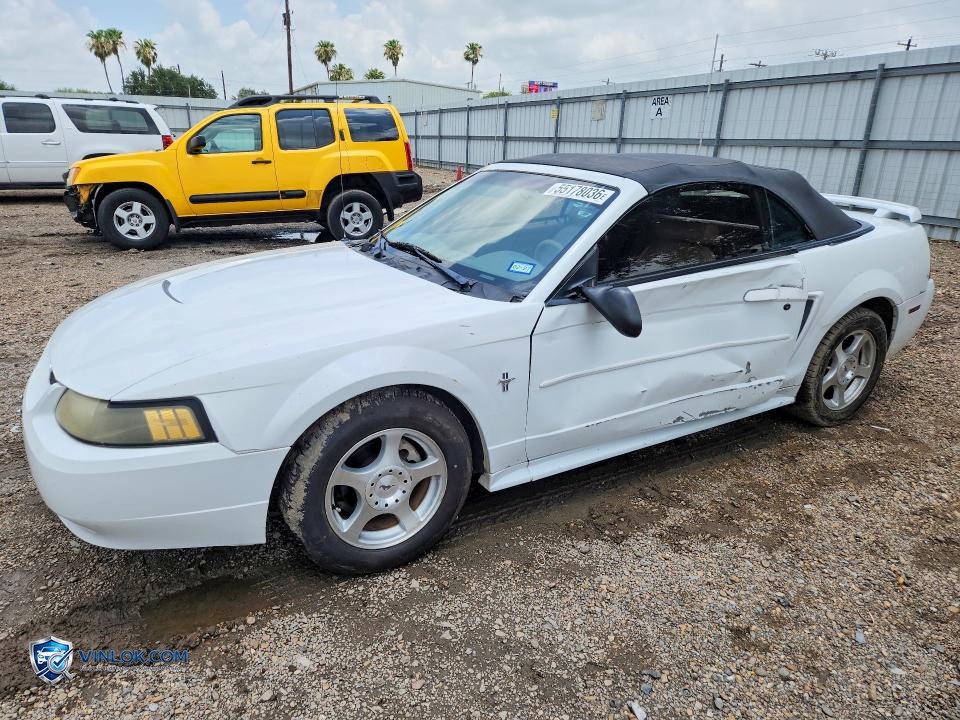 2003 FORD MUSTANG – Lot 55178036 auction photo