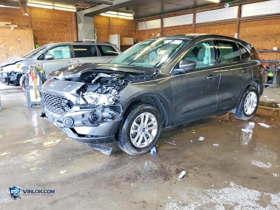 2020 FORD ESCAPE SE – Lot 55235686 auction photo