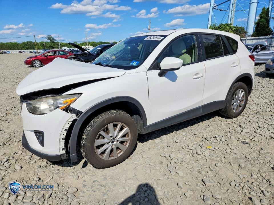    – Lot 55236896 auction photo