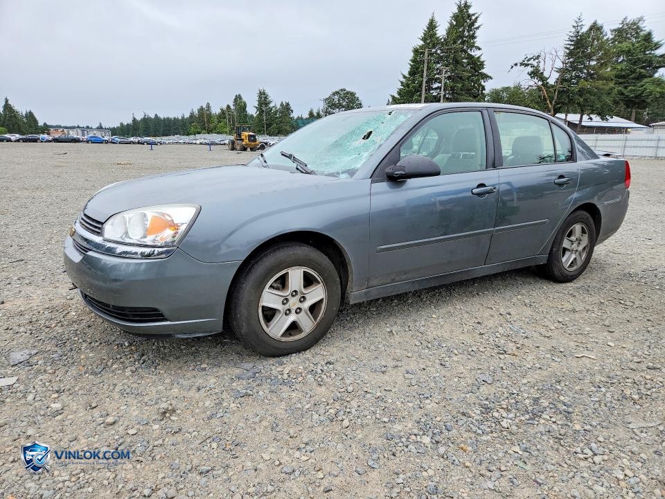 2005 CHEVROLET MALIBU LS – Lot 55248276 auction photo