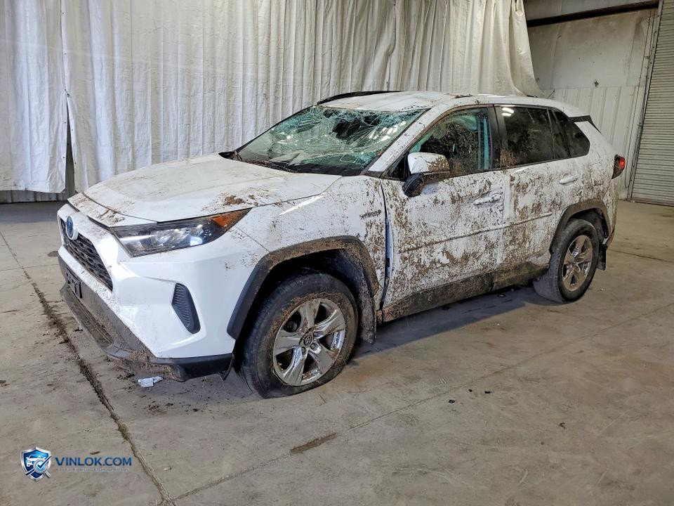2019 TOYOTA RAV4 LE – Lot 55257206 auction photo