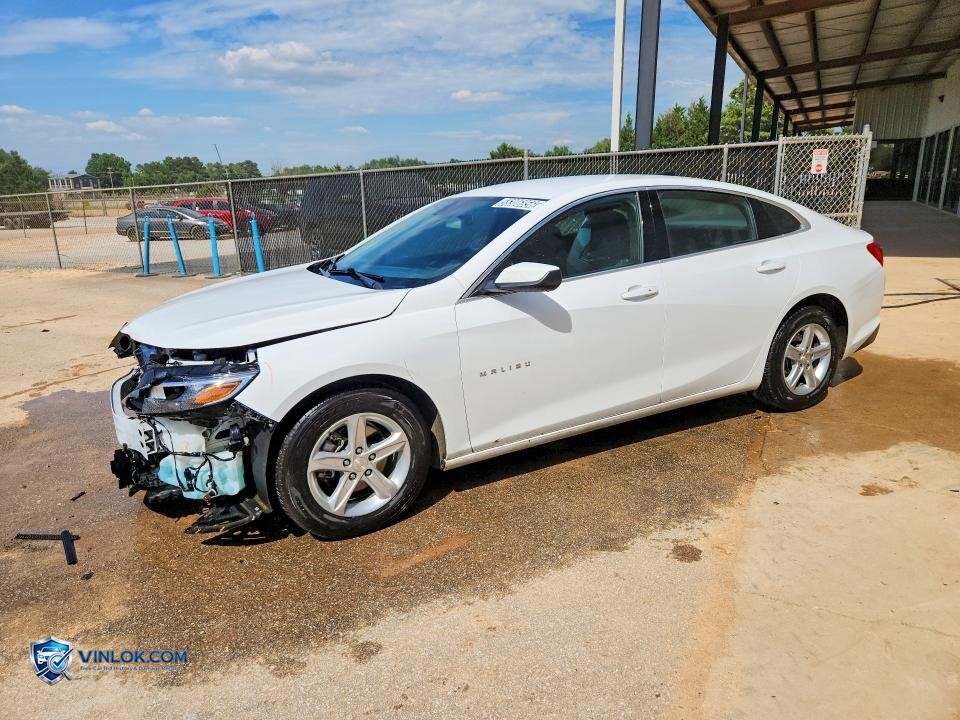 2024 CHEVROLET MALIBU LS – Lot 55306856 auction photo