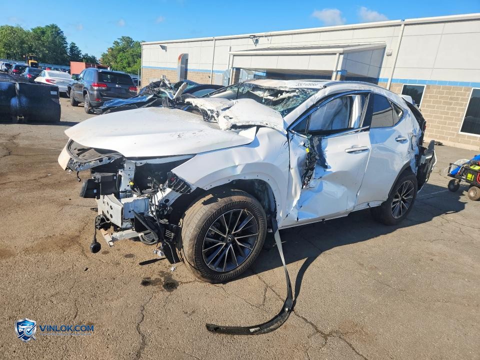 2022 LEXUS NX 350H – Lot 55310956 auction photo