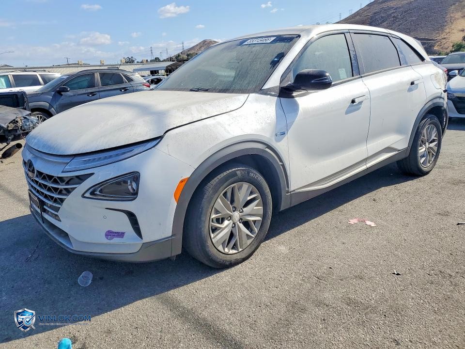2019 HYUNDAI NEXO BLUE – Lot 55313466 auction photo