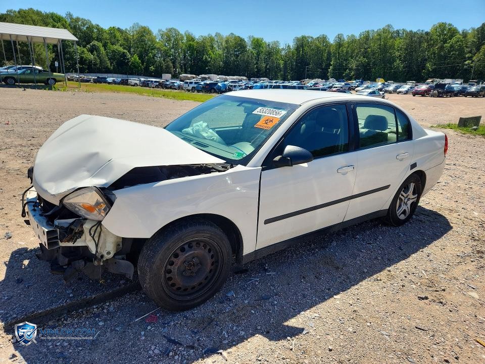 2005 CHEVROLET MALIBU – Lot 55320856 auction photo