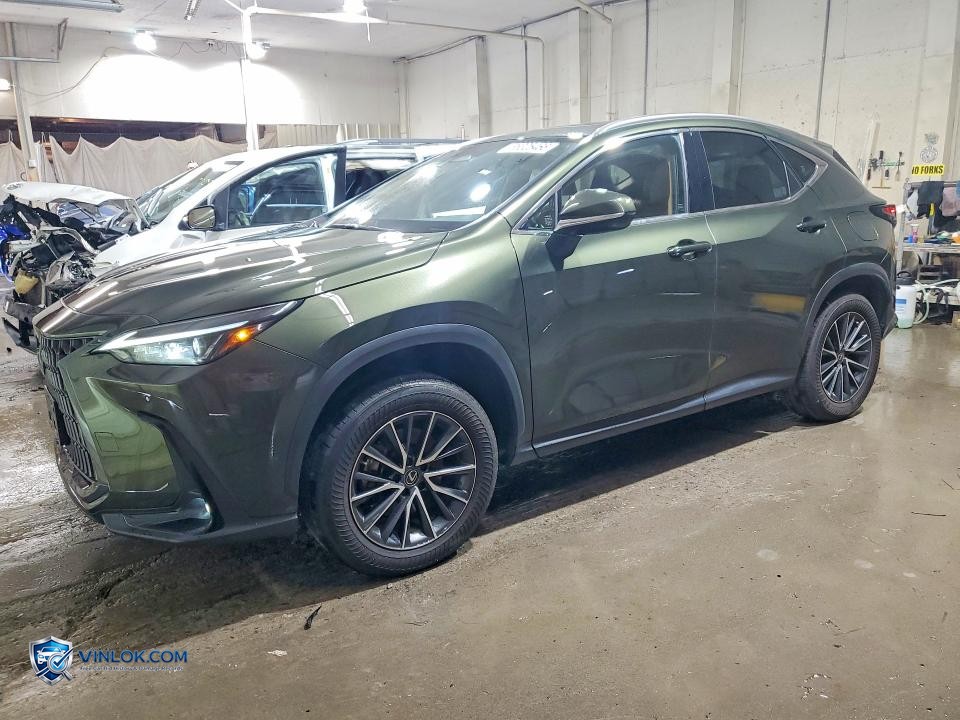 2022 LEXUS NX 350 – Lot 55325466 auction photo
