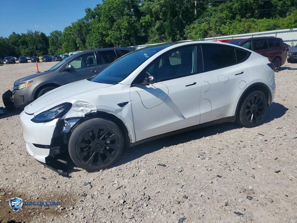 2023 TESLA MODEL Y – Lot 55336266 auction photo