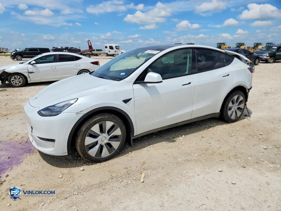 2023 TESLA MODEL Y – Lot 55358676 auction photo