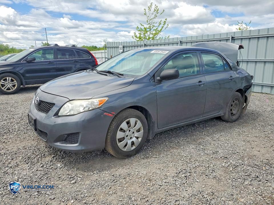 2010 TOYOTA COROLLA BASE – Lot 55367846 auction photo