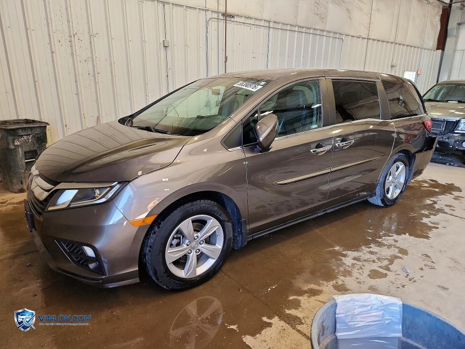 2019 HONDA ODYSSEY EXL – Lot 55390976 auction photo