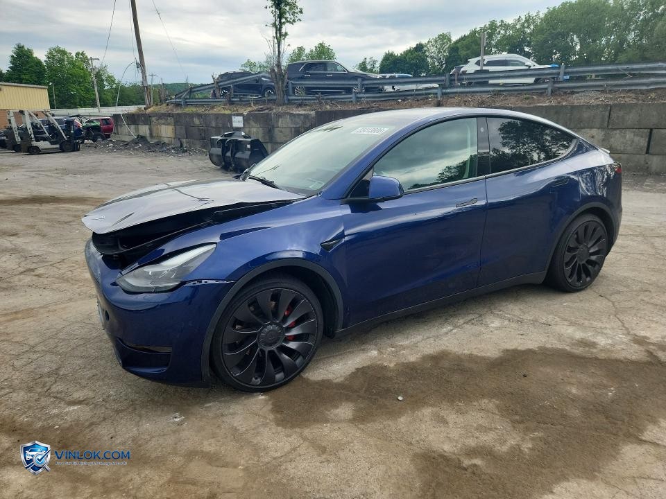 2023 TESLA MODEL Y – Lot 55413806 auction photo