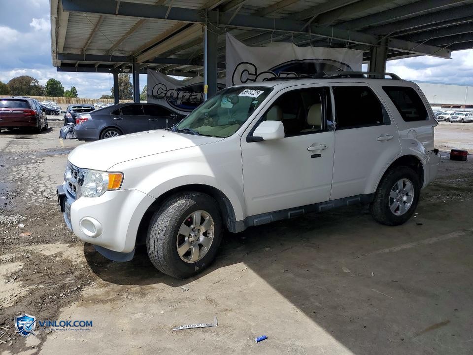 2012 FORD ESCAPE LIMITED – Lot 55444526 auction photo