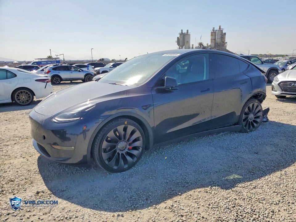 2024 TESLA MODEL Y – Lot 55466856 auction photo