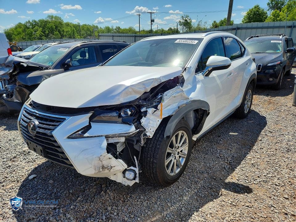 2021 LEXUS NX 300 BASE – Lot 55500236 auction photo