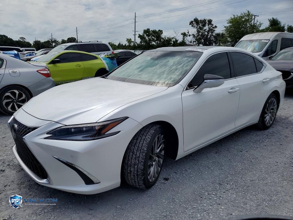 2025 LEXUS ES 350 ULTRA LUXURY – Lot 55506276 auction photo