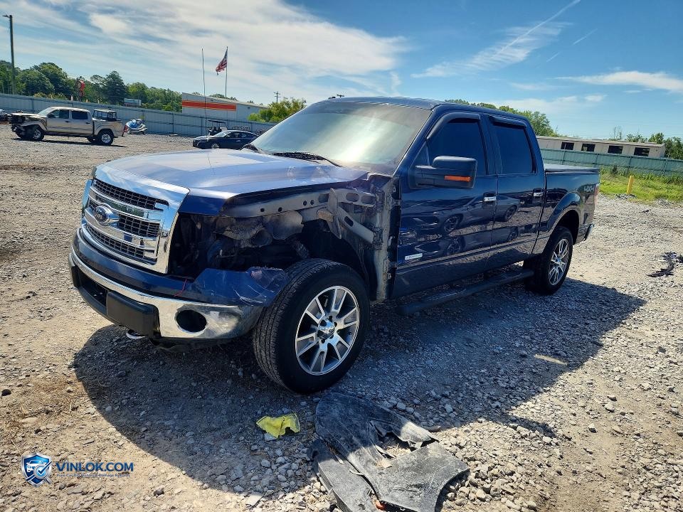 2014 FORD F150 SUPERCREW – Lot 55510956 auction photo