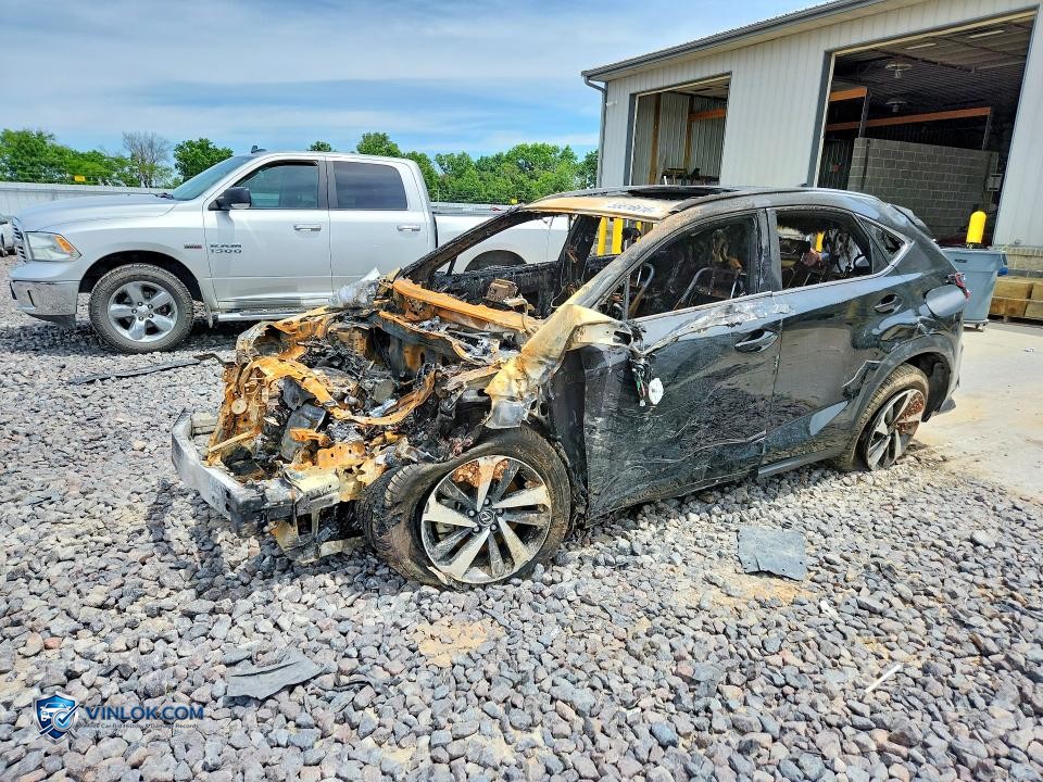 2021 LEXUS NX 300 BASE – Lot 55516616 auction photo