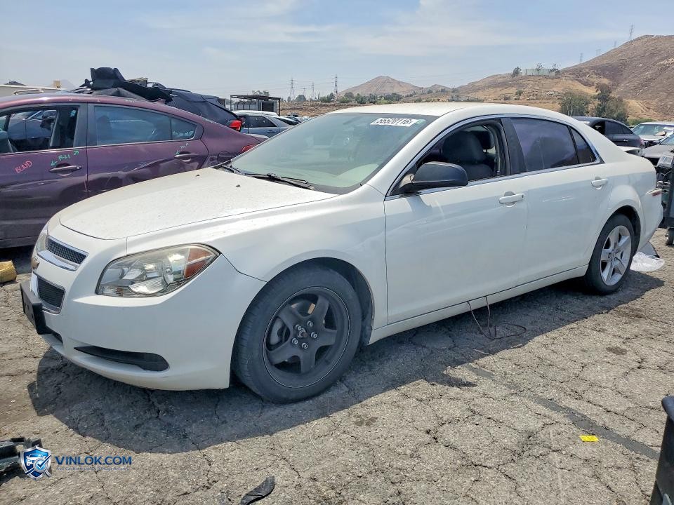 2010 CHEVROLET MALIBU LS – Lot 55520116 auction photo