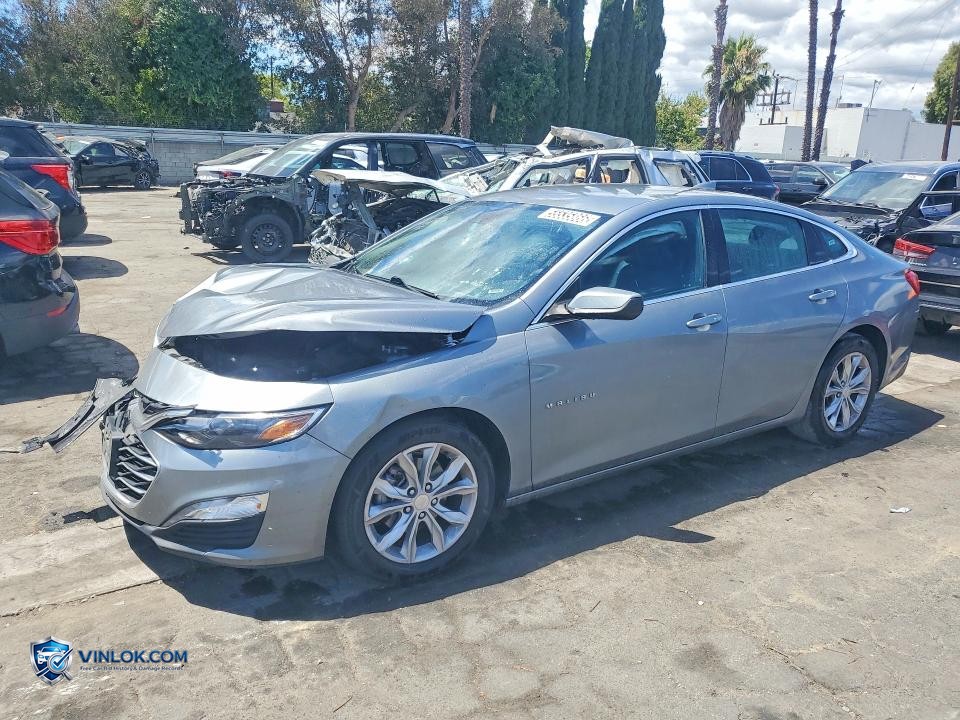 2023 CHEVROLET MALIBU LT – Lot 55535866 auction photo
