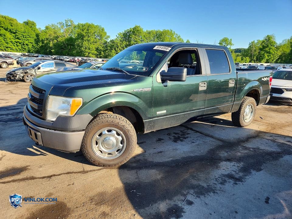 2014 FORD F150 SUPERCREW – Lot 55540866 auction photo
