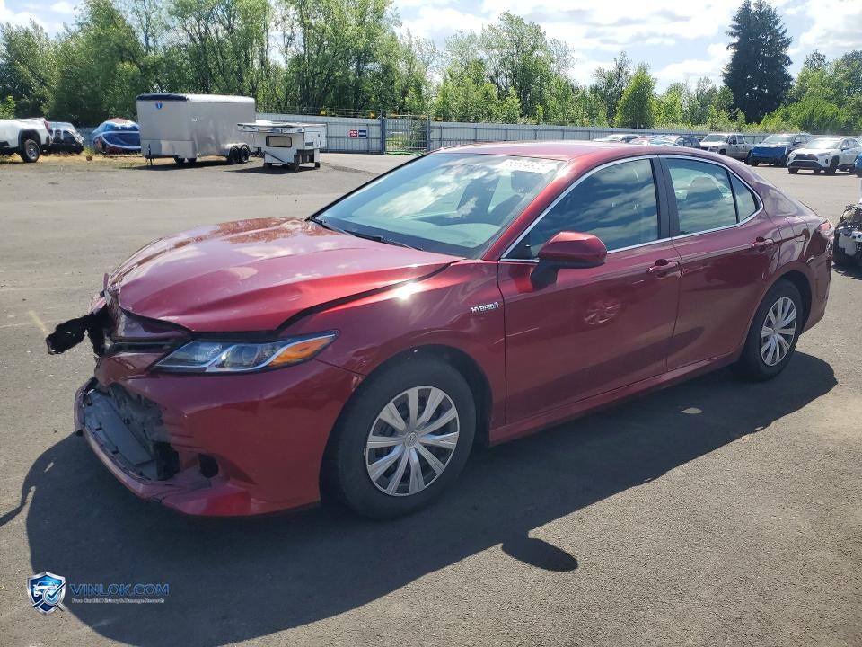 2019 TOYOTA CAMRY LE – Lot 55564906 auction photo
