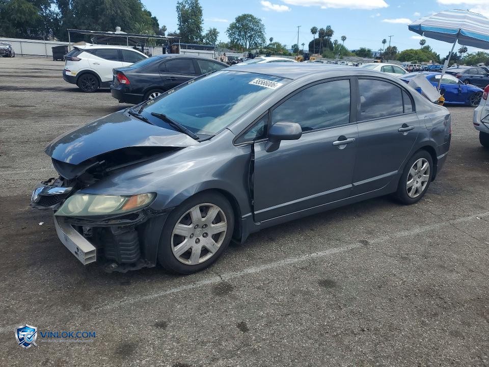 2010 HONDA CIVIC LX – Lot 55566006 auction photo
