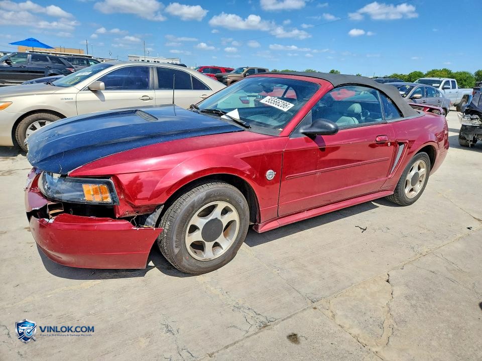 2004 FORD MUSTANG – Lot 55566286 auction photo