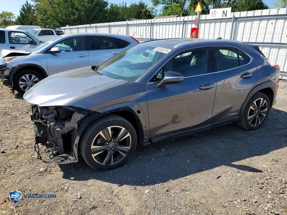 2019 LEXUS UX 250H – Lot 55585376 auction photo