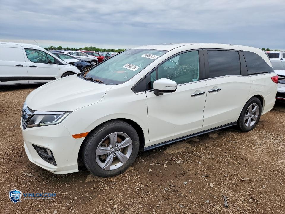 2019 HONDA ODYSSEY EXL – Lot 55590916 auction photo