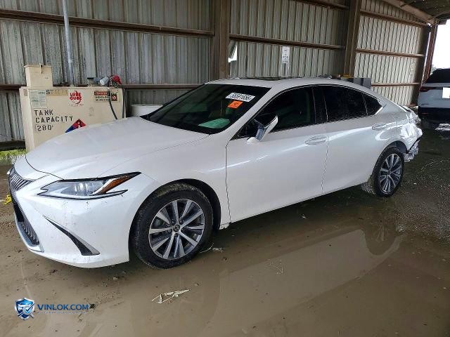 2021 LEXUS ES 250 BASE – Lot 55591656 auction photo