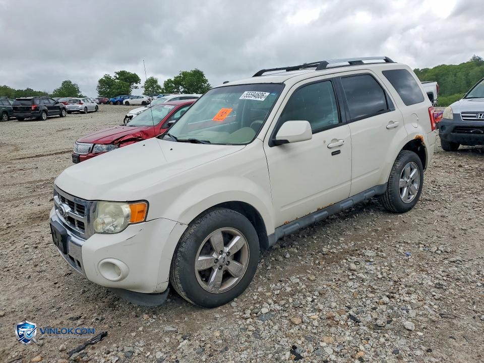 2011 FORD ESCAPE LIMITED – Lot 55594606 auction photo