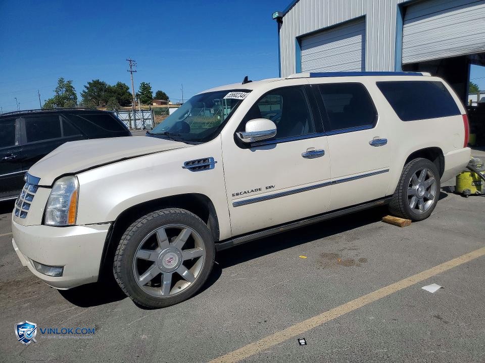 2010 CADILLAC ESCALADE ESV PREMIUM – Lot 55602346 auction photo